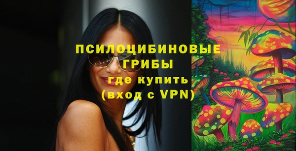 прущая мука Михайлов
