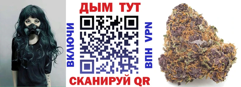 МАРИХУАНА сатива закладка Инсар